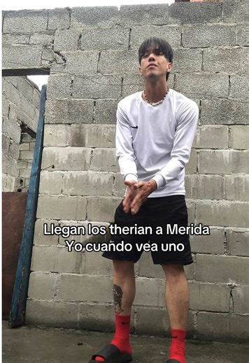 Tutorial sobre encuentros con Therians en Mérida