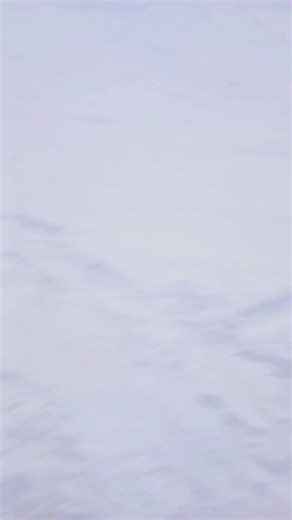 markyss.offical (@markyss.offical)’s videos with AnySoundEffects Bad Piggies Theme - Any Sound Effects