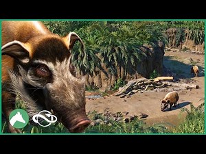 Red River Hog Habitat | Elm Hill City Zoo | Planet Zoo