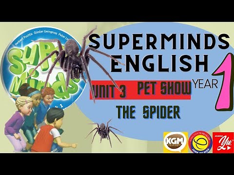 SUPERMINDS YEAR 1 UNIT 3 PET SHOW (THE SPIDER)