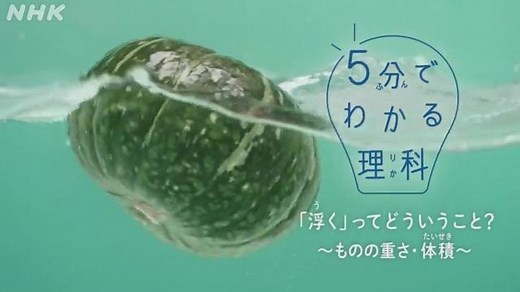 「浮く」ってどういうこと？～ものの重さ・体積～ | ５分でわかる理科 | NHK for School