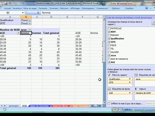 Excel 2007-2010 - Pyramide d'âge