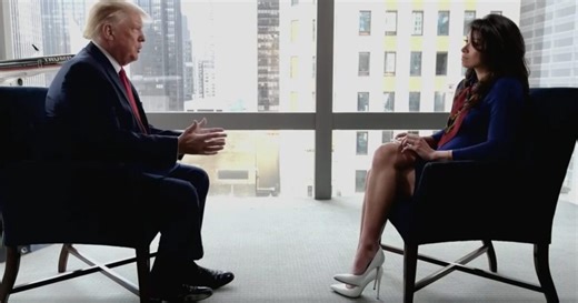 Trump Takes a Hatchet to ‘Weak Republican Leadership’ in Wild OAN Interview: ‘McConnell ...