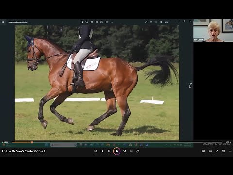 Live with Dr. Sue Dyson – Canter Dysfunction