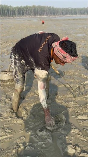 কাস্তে দিয়ে মাটির নিছে মাছ ধরছে #gofishi #biggamefishing