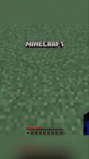 Randomized Textures in Minecraft: A Chaotic Twist