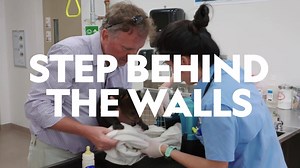 Welcome to Tampa, home to some of the most beautiful animals from all over the world. Get up close and personal with these beautiful creatures on Secrets of the Zoo: Tampa starting 9 December at 18:00 CAT. | National Geographic Africa