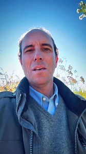 🌿 La cicuta, el veneno más famoso de la historia, es una maleza bastante tradicional en los campos de Chile. Nos entrega una valiosa lección: a tener cuidado porque no siempre las plantas venenosas tienen un aspecto amenazante. ⚠️ #elcamponopara #cicuta #agro | Martín Arrau