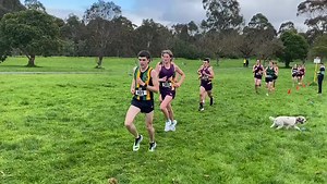 #APS Cross Country 2023 - Open Boys mid race! 'Round the Grounds'...
