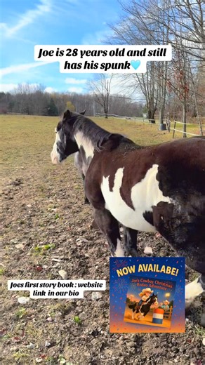 Perfect book for little cowboys and cowgirls who love horses, adventures, and rodeo magic! 📖 Signed copies available now at AllAboardThePonyExpress.com #allaboardtheppnyexpress #kidswhoread #childrensbook #joethepainthorse Do not own rights to the music. | Marisa Kendall