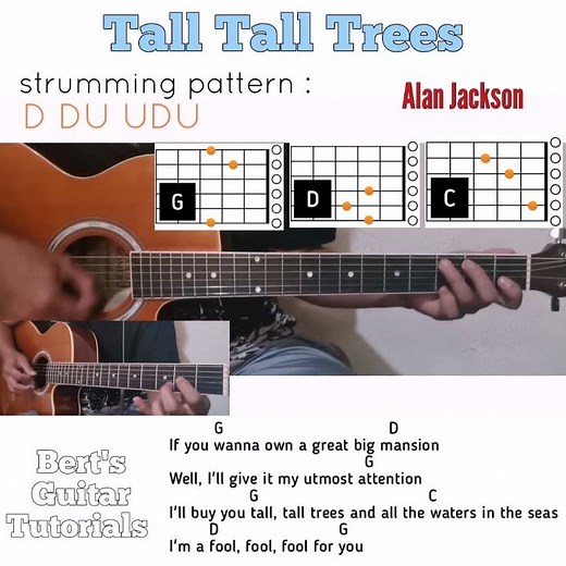 Tall Tall Trees - Alan Jackson guitar chords w/ lyrics & strumming tutorial
