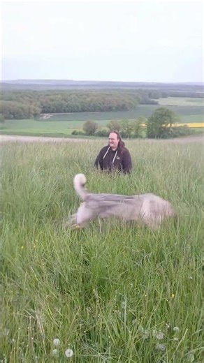 Plume dances with the Kaya