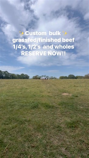 40 reactions | We are now taking reservations on our custom bulk beef!! Available in 1/4’s, 1/2’s and wholes with customizable cuts. Raised with uncompromising standards to ensure the most nutrient dense, lowest toxin beef available. Our first set is almost sold out, so reserve now to secure your beef for the upcoming year!! https://www.lonetreefarmsllc.com #grassfedbeef #grassfinishedbeef #regenerativeagriculture #regenerativemedicine #pasturetoplate | Lone Tree Farms | Facebook