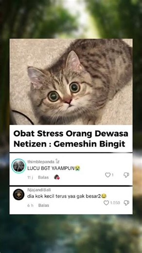 Si Paling Gemoy: "Definisi Capek Langsung Hilang Lihat Tatapan Si Kecil Ini!