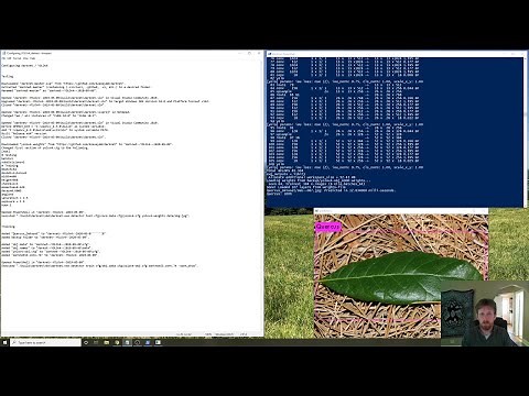 Training YOLOv4 CNN's Using darknet