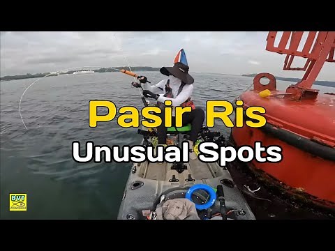 PASIR RIS UNUSUAL SPOTS! BVT KAYAK FISHING (SINGAPORE) - EP2412