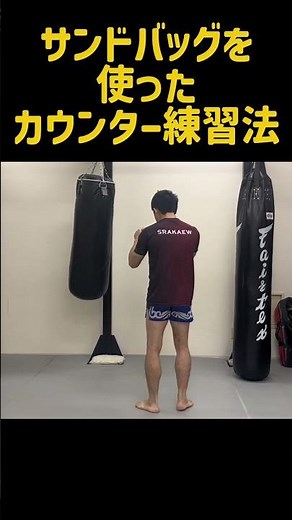 How to Practice Counters Using a Heavy Bag! ~Timing Front Kicks and Knees~