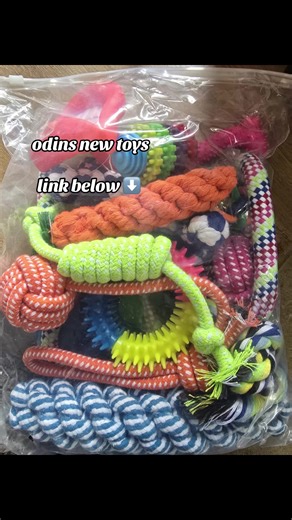 Discover Odin's New Dog Toys - Buy Now!