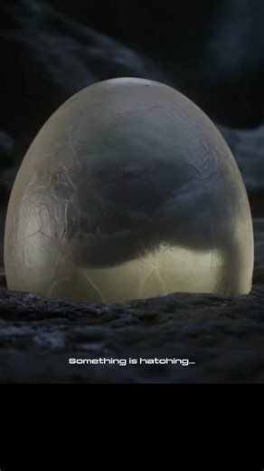 Not Every Birth is a Blessing - Creature from the Egg 👁🦠