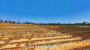 Farm Agriculture Irrigation Sprinkler System Deep Well Solar Panel Powered Water Pump Drip Irrigation Kit