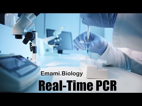 آموزش و آنالیز تکنیک های Real -Time PCR و Reverse Transcriptase PCR