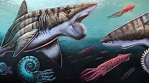 When evolution created a monster with a chainsaw for a face