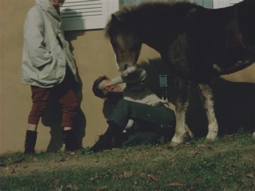 109K views · 5.3K reactions | A bit of fun, and an example of actions having consequences: if you feed your pony sugar cubes and run out, that pony will try to eat you instead (JFK found this out the hard way). See full home movie: https://www.jfklibrary.org/asset-viewer/archives/jfkppp-48 | JFK Library Foundation | Facebook