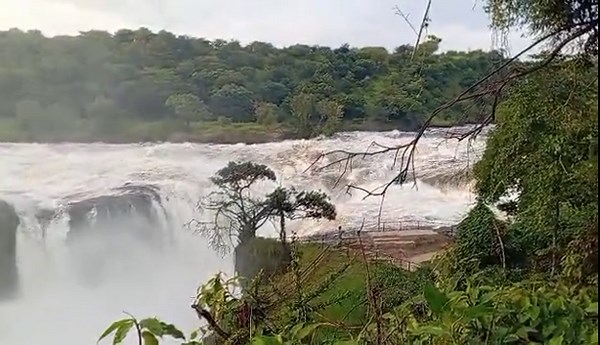 Explore the raw power of nature as you witness the Strongest water falls in the world, the #Murchisonfalls in Uganda found in #Murchisonfallsnationalpark. visit https://www.murchisonfallsnationalparkuganda.com/ #murchisonfall #murchisonfallsuganda #murchisonfallsinuganda