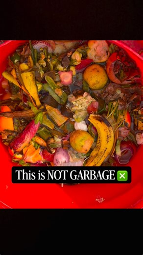 Organic gardening | Floral design on Instagram: "Follow for real, practical composting—🍀🍃 from wet waste to compost, compost tea, and living soil. Because saving soil starts at home Waste segregation isn’t a task. It’s a responsibility. And composting is the easiest way to give back to the soil. 🌱 Start today. Grow tomorrow. . . . . #CompostAtHome #WetWasteSegregation #SoilHealth #GrowYourOwn"