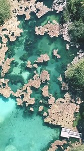 38K views · 785 reactions | Lagoa Azul (Encantada)  , Rodovia MT-130 km-25, sentido Paranatinga, Fazenda Tupã III. Reúna a galera e visite com a @jofretur (65) 9 9976-7753 - Joceli Primavera do Leste - Mato Grosso  Por  @tpwerman / Tiago Farias | Mato Grosso é Nosso | Facebook