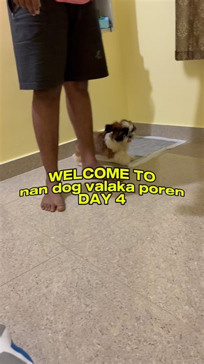 Nan Dog Valaka Poren Day 4 🐶 | Rio’s First Vaccination 💉❤️ | Emotional Pet Journey