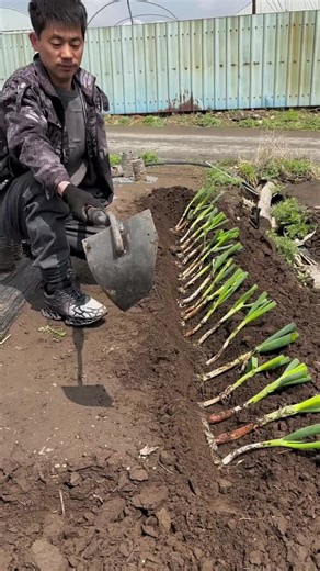 Understanding Modern Agriculture Practices