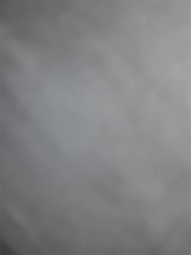 #tiktok #foryou #usa🇺🇸 | marriage proposal gone wrong