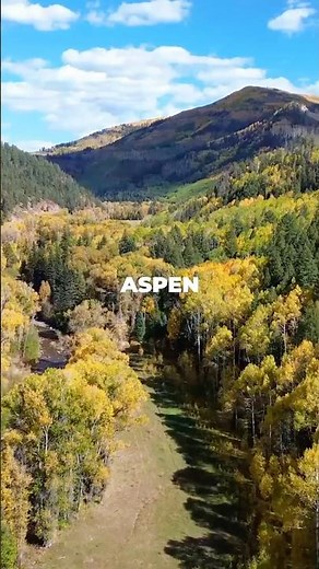 Aspen Colorado Travel Guide: Best Things to Do In 2026