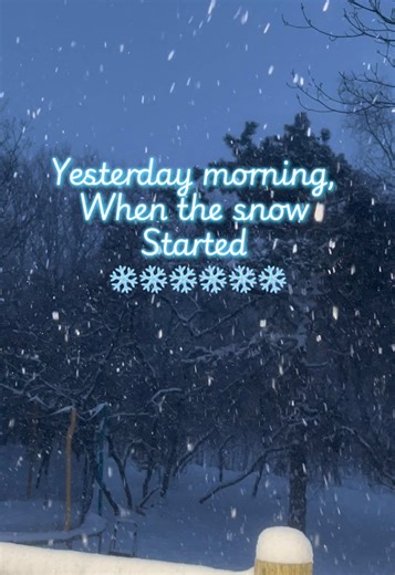 This didn’t post yesterday so trying again lol #snow #snowstorm #winter #winterweather #weather @Nicky G