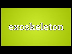 Exoskeleton Meaning