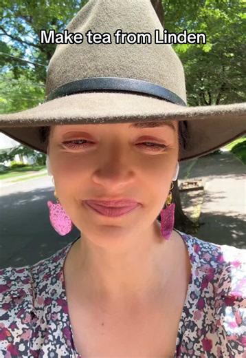 Linden Trees: Benefits and Tea Preparation