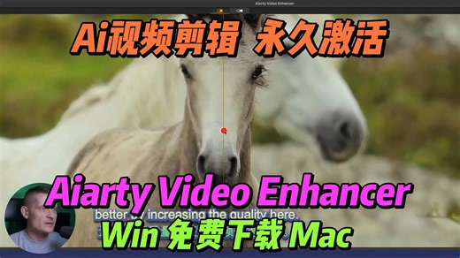 12月更新 Aiarty Video Enhancer AI视频增强 Win Mac 简介自取 Win Mac
