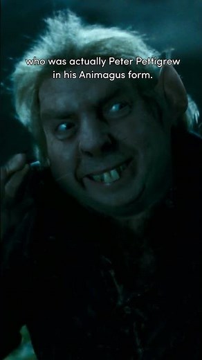 Harry Potter – The Unlucky 13 Theory #HarryPotter #ProfessorTrelawney