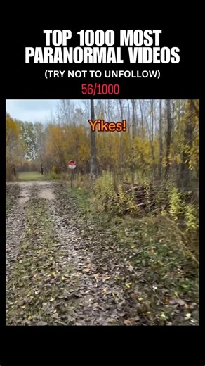 Paranormal Videos on Instagram: "In this video, a person walks along an overgrown, wooded trail and encounters a mysterious "ghost train." As they reach a set of old, rusty railroad tracks, an abandoned and weathered railcar slowly rolls by without a driver. The vehicle is rusty and open-sided, making it look like it hasn't been used in decades. It travels at a steady pace, crunching over sticks and leaves on the tracks. The traveler expresses their surprise and unease, noting that they have no 