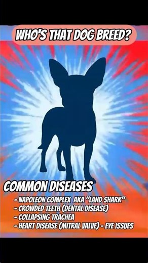 Who's that Dog Breed (5)