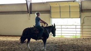 Emma and I had a few lessons with a reining trainer Becky Shelton Phillips. Couple firsts happened Becky had never been on a mule and Emma’s 1st time with a different rider. We aren’t where I would like to be. However we’re where we are meant to be. Every day is a little improvement. Emma has come so far. | Missouri Mule Makeover/Ozark Mule Days