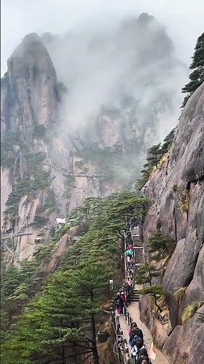 Live Ink Wash Painting Demonstration: Explore the Art of Huangshan