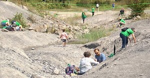 Penn Dixie sets fossil digging record