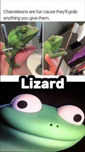 #bulun 🦎