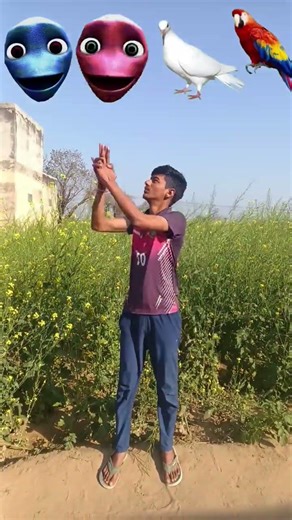 Rounding Alien to Duck, Peacock,Pigeon& Parrot - Birds names magic video