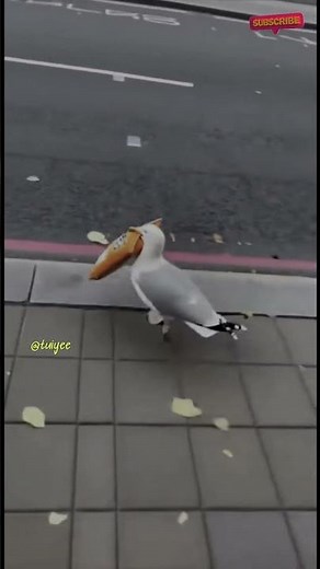 Bird Went Shopping?! You Won't Believe What Happened Next