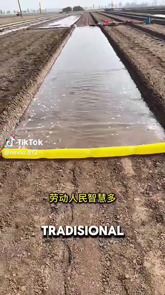 Beginilah cara cerdas dalam irigasi pertanian di cina #fyp #foryou #foryoupage #irigasi #petanian