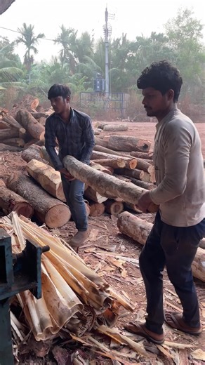 Plywood making morning wood work 🪵|#wood #wooden #plywood #usa🇺🇸 #unitedstates🇺🇸