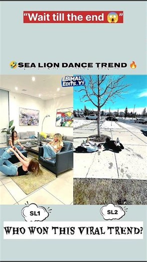Sea lion Dance Trend 🦭😂🔥 #tiktok #trend #shorts #yunomiles #funny #danceedit #sealion